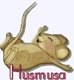 Husmusa sin avatar